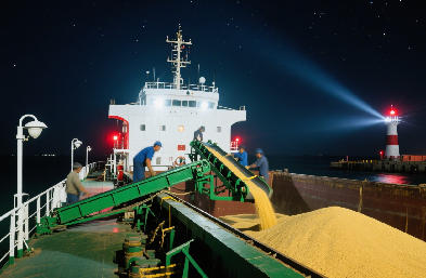 專業散貨船貨代：艙位充足護航全球，直達港口賦能貿易